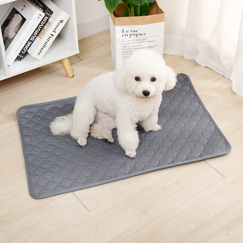 Reusable Dog Pee Pad Blanket A - Mattress Protector Waterproof recension och pris